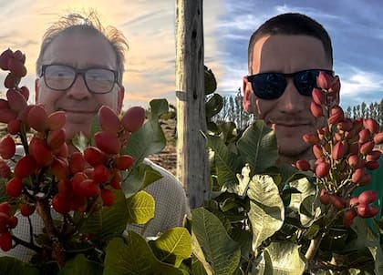 En su finca de pistachos en Casa de Piedra, Fernando y Santiago Gutiérrez, socios y gerentes de PampaPist