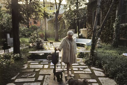 En su jardín, tan visitado como el Palacio Ducal, Peggy enterró a sus 14 perros