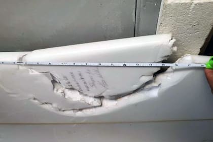 En su tabla quedó el espantoso registro de la feroz mordida del escualo