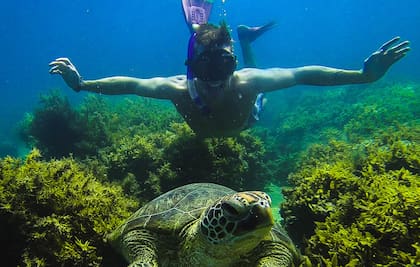 En su tiempo libre aprovechó para tomar clases de buceo.