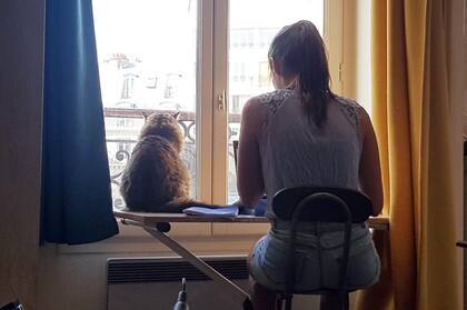 En su ventana, junto a su compañera fiel.