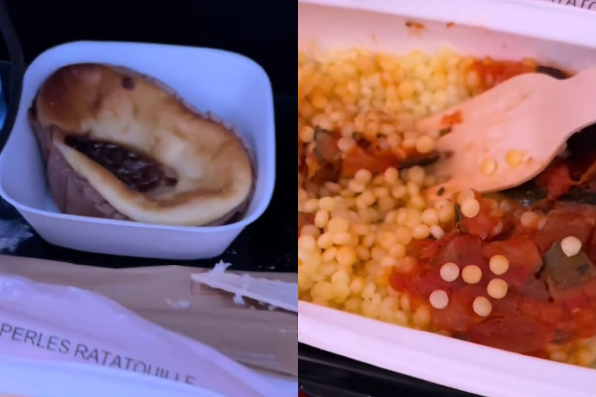 En su video, la mujer mostró con lujo de detalles las comidas que recibió en un vuelo y se volvió viral