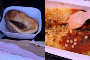 En su video, la mujer mostró con lujo de detalles las comidas que recibió en un vuelo y se volvió viral