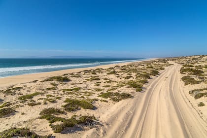 En su visita, Madonna optó por hacer una cabalgata en las playas de Comporta