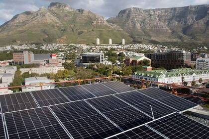 En Sudáfrica, el cáñamo se designó como cultivo agrícola en 2021