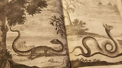 En sus primeras épocas, la Royal Society recopilaba tanta información sobre "criaturas y acontecimientos extraños observados recientemente en lugares extranjeros" como sobre lo que ahora conocemos como ciencia