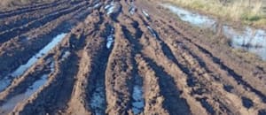 Las pericias que pusieron bajo la lupa a los municipios bonaerenses y aceleraron las demandas de productores