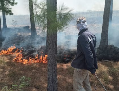En Tapebicuá, cerca de la localidad fronteriza de Paso de los Libres, las llamas incontrolables hicieron mella más de 600 hectáreas de campos, montes y plantaciones