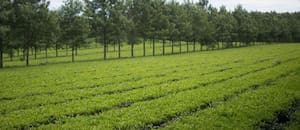 Revuelo en una provincia por la creación de un registro de infractores ambientales