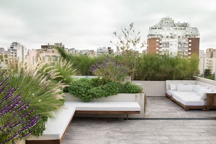 En terrazas y jardines elevados, el viento puede acelerar la pérdida de humedad y convertirse en un factor decisivo para la salud de las plantas