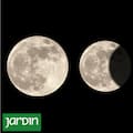 Cuando es la luna la que dice si hay que sembrar o esperar