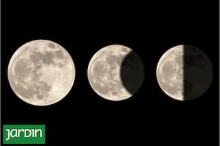 Cuando es la luna la que dice si hay que sembrar o esperar