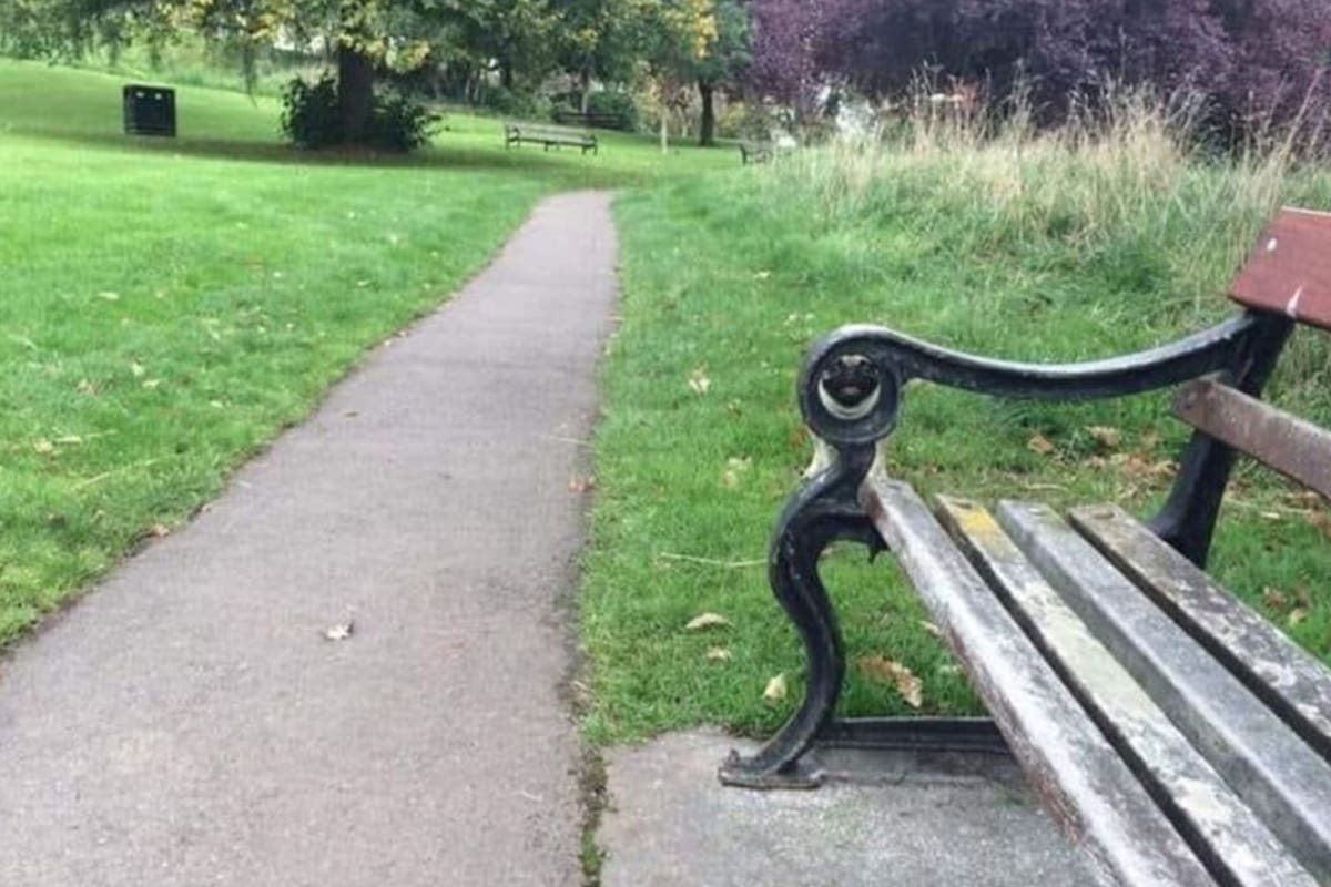 En tiempos de coronavirus (COVID-19), este desafío sin duda es un excelente ejercicio para distraerte en casa y retar a tus seres queridos