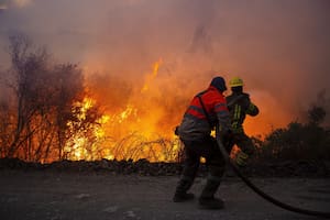 En toda la provincia de Chubut, se estima que el fuego ya arrasó más de 45.000 hectáreas durante esta temporada