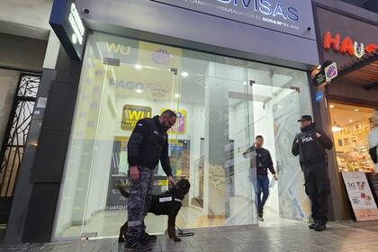 En total hubo 26 operativos y fueron detenidas 15 personas.