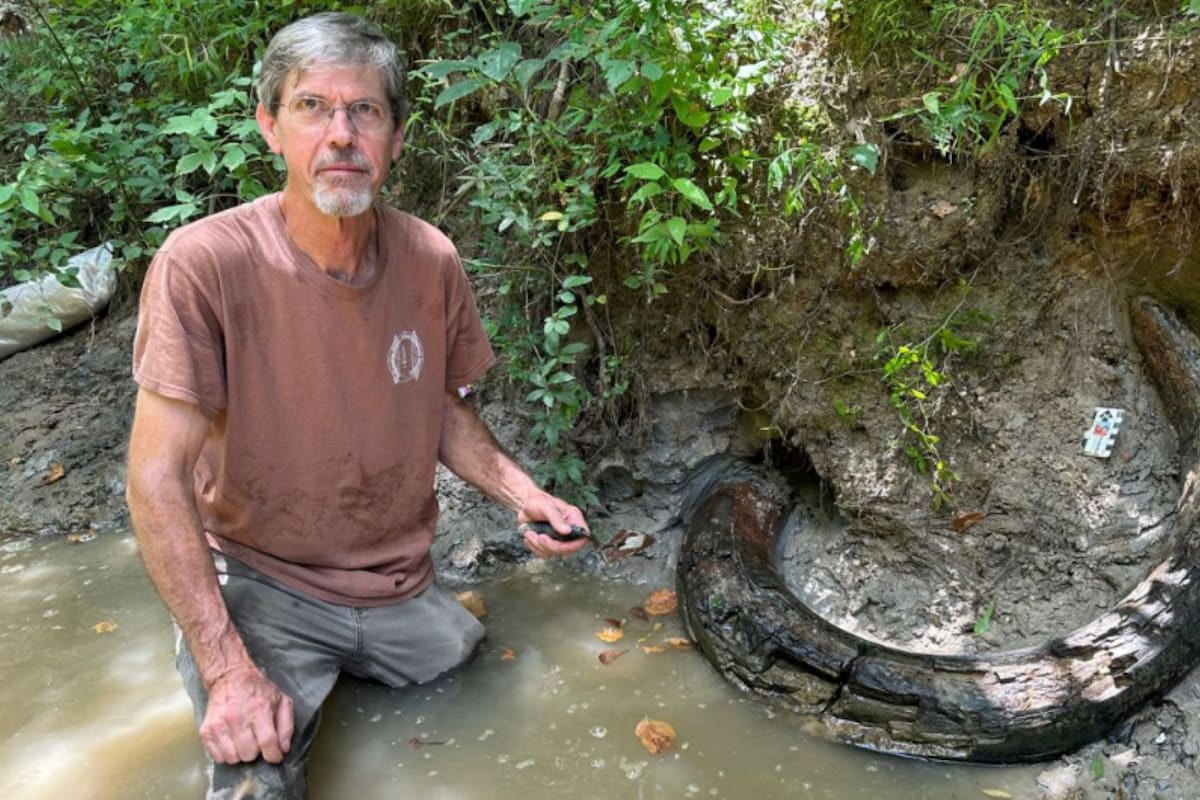 En un arroyo de Mississippi, Eddie Templeton, un apasionado de la paleontología, realizó un descubrimiento asombroso que cautivó a la comunidad científica (Imagen cortesía de Eddie Templeton)