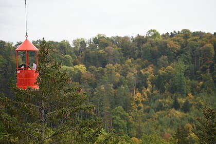 En un centro de vigilancia forestal cerca de Hölstein, Suiza, los científicos utilizan una grúa para hacer mediciones que documentan la respuesta de los árboles a los cambios ambientales