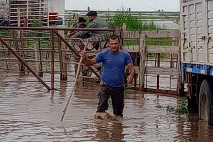 En un comunicado, Farer, CRA, la Sociedad Rural de Victoria (SRV), y la Comunidad Islera Asociación Civil (CIAC) manifestaron que la ordenanza en cuestión “más que definir un aumento de tasa, termina siendo un impuesto encubierto porque para ajustarse al término tasa, el mismo debiera estar acompañado de una contraprestación, hecho que fácticamente no sucede”