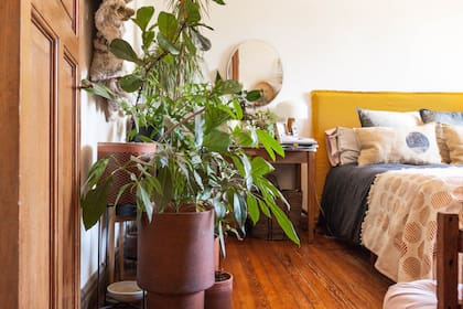En un dormitorio se recomiendan plantas de bajo mantenimiento ubicadas en maceteros con diferentes alturas