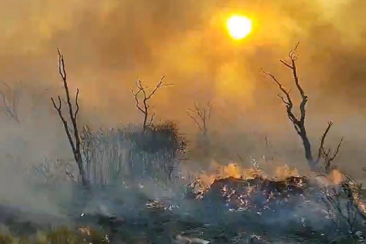 En un escenario de sequía extrema, altas temperaturas y viento, el fuego dejó daños productivos y económicos severos en amplias regiones de La Pampa.