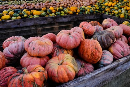 En un festival cerca de Berlín, las mujeres poderosas toman forma, una calabaza tras otra