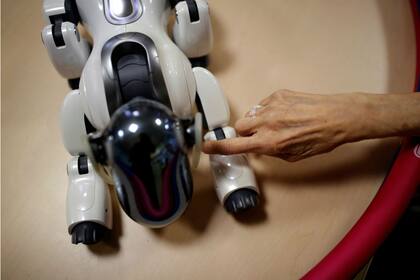 En un geriátrico de Japón, experimentan con robots para cuidar a los mayores