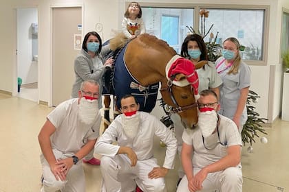 En un hospital de Francia pusieron en práctica una terapia con caballos que ayuda a pacientes con cáncer