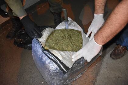 Secuestraron casi 50 kilos de droga enviados desde Misiones hacia Buenos  Aires - LA NACION