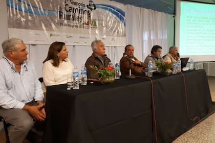 En un panel, los intendentes de Coronel Suárez, Roberto Palacios, de Tres Arroyos, Carlos Sánchez y el presidente de la Cooperativa de Tandil, Eduardo Brivio, explicando casos exitosos de consorcios de caminos rurales