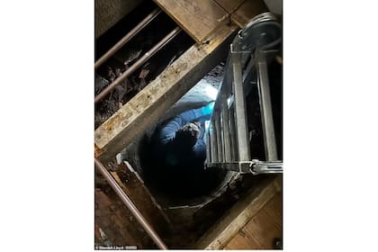 En un primer momento, sintieron temor por el descubrimiento, pero luego decidieron hacerlo parte de la renovación