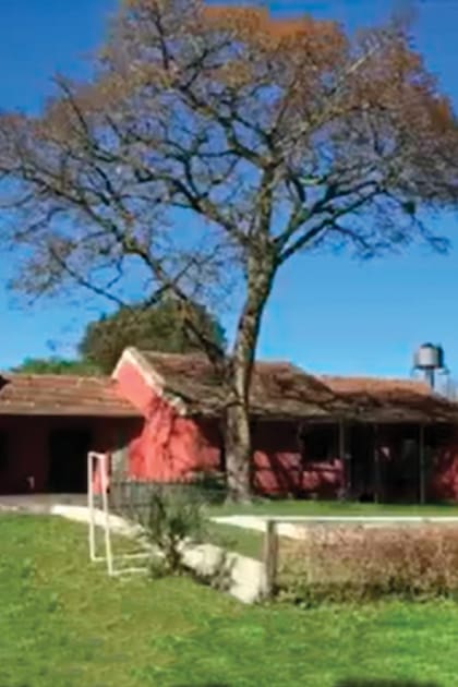 En un principio, pensaban habitar la casa con su gran familia ensamblada. Sin embargo, tras la separación, la actriz se quedó con la propiedad. Según trascendió desde el círculo íntimo de Vicuña, el inmueble generó un conflicto porque él habría vendido acciones para comprarlo con la idea de vivir los dos juntos con sus hijos