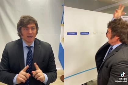 En un video de TikTok Javier Milei habló de su Plan de Gobierno y reveló qué Ministerios eliminaría si llegara a la presidencia (Foto: Captura TikTok @javiermileii)