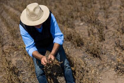 En un video, los productores trazaron un paralelismo de lo que se bancan en el campo y lo que "no se bancan"