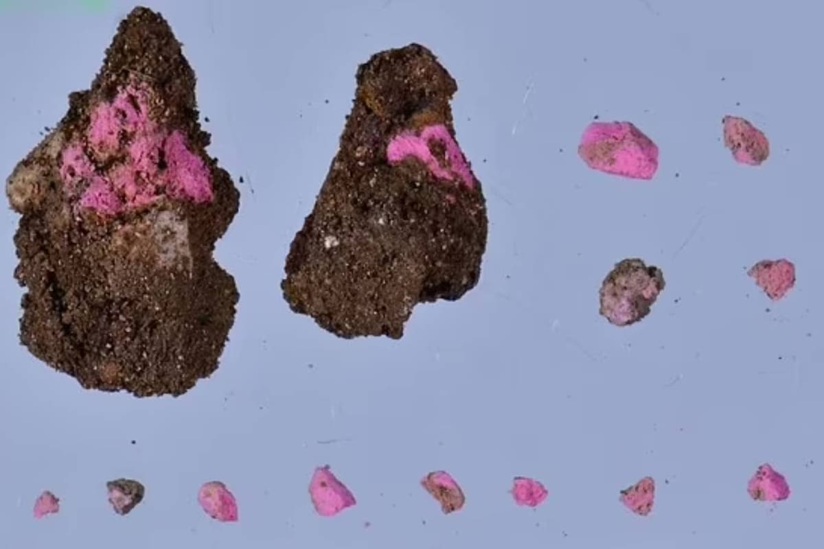 En una antigua ciudad se encontraron restos de maquillaje que tendrían unos 2000 años de antigüedad