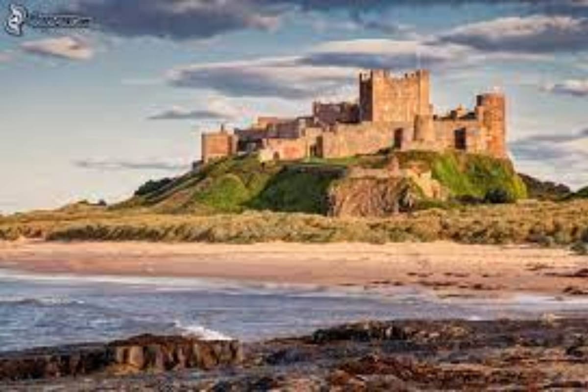 En una playa de Reino Unido apareció el pez de cuatro metros que está en peligro de extinción