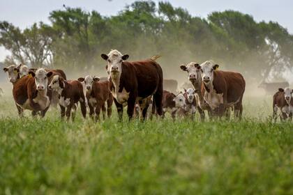 En una segunda etapa se buscará unir a productores con inversores