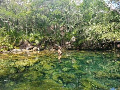 En uno de los cenotes de Tulum