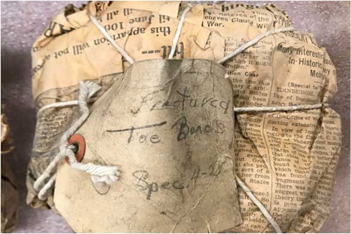 En uno de los fósiles encontrados envueltos en periódicos, había una etiqueta que sugiere que los fósiles fueron desenterrados durante las expediciones a principios de la década de 1920