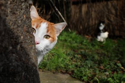 En uno de los jardines de la ciudad
