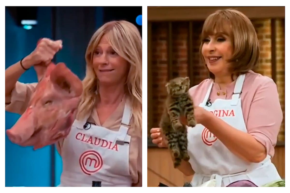 En uno de los programas de MasterChef Celebrirty, Claudia Fontán exhibió la cabeza de un cerdo y Gerogina Barbarossa el muñeco de un gato "embalsamado"; por estas y otras escenas, la producción, el jurado y los participantes recibieron una feroz crítica