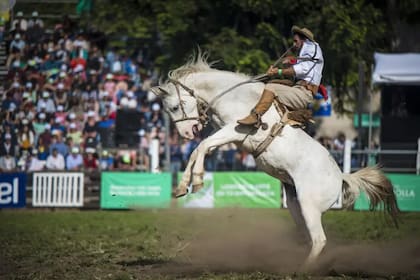 En Uruguay también se celebra en estos días la Semana Criolla, con sus populares jineteadas