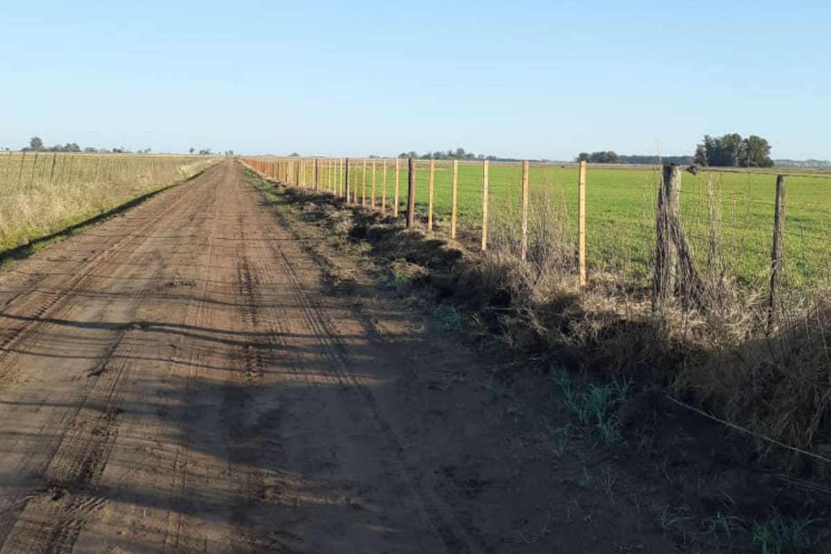 En varias regiones alertan falta de alambre y suba de precios