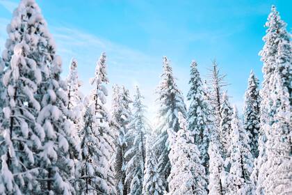 En varias regiones del país se hace presente la nieve durante el inicio de semana