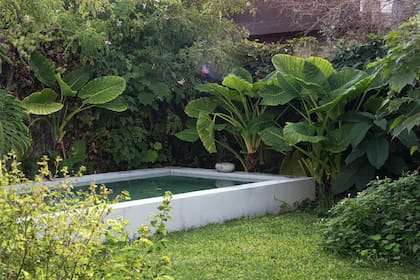 En verano, el estanque es el mejor lugar y en los meses fríos funciona como un banco extra grande