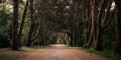 En Villa Ventana también se pueden visitar las ruinas del famoso “Ex Club Hotel de la Ventana”