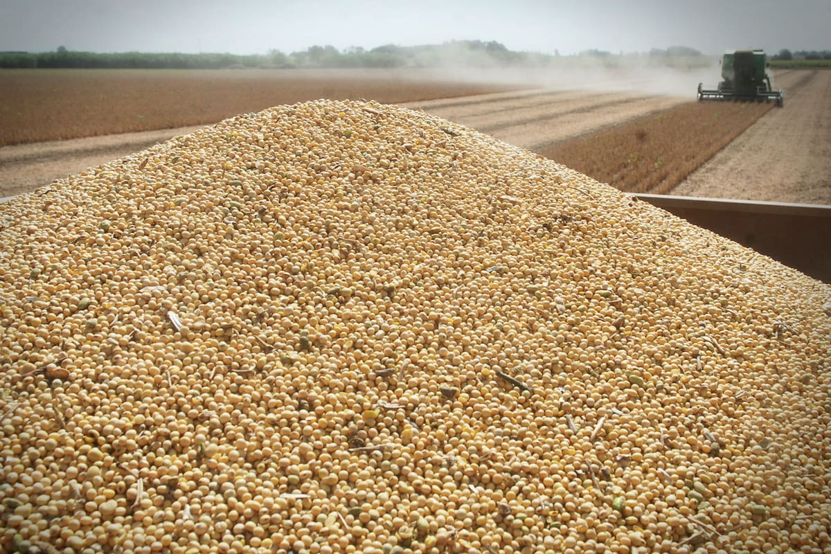 En volumen quedan 20 millones de toneladas sin comercializar