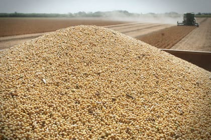 En volumen quedan 20 millones de toneladas sin comercializar