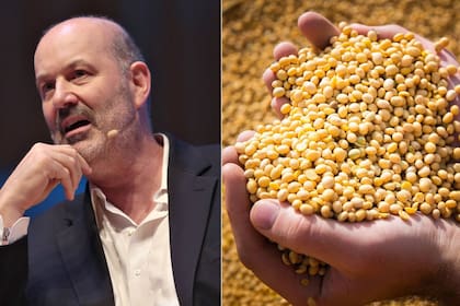 En X el ministro de Desregulación y Transformación del Estado, Federico Sturzenegger, explicó el alcance de la medida