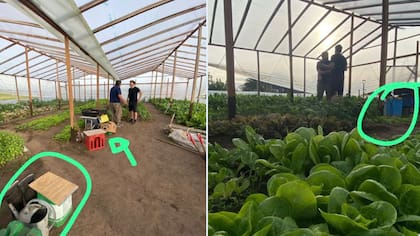 En X los productores se hicieron eco del posteo