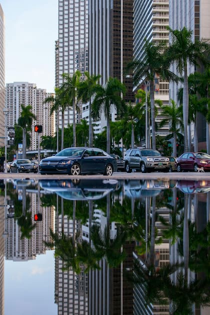 En zonas como Miami o Tampa, Publix ofrece productos específicos para comunidades latinas